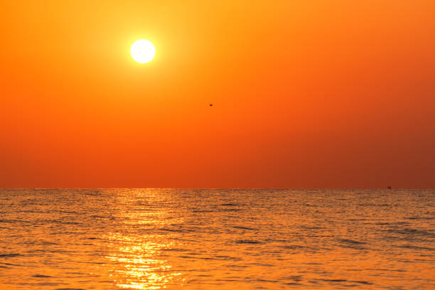 Scientists Stunned as North Sea Turns Hotter Than Ever Recorded — But Say It Was ‘Not Unexpected’