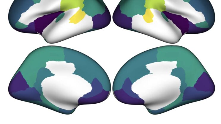 Can Inequality Rewire a Child’s Brain? Scientists Uncover a Stunning Link Between Wealth Gaps and Mental Health