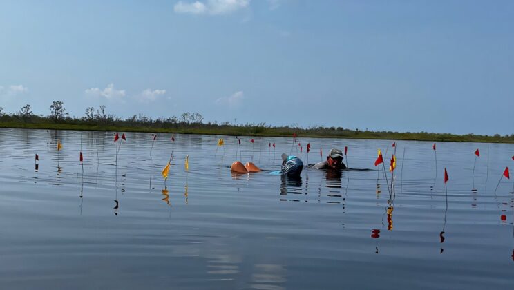 Scientists Discover a 1,200-Year-Old Maya Settlement Preserved Perfectly Underwater — Here’s What They Found