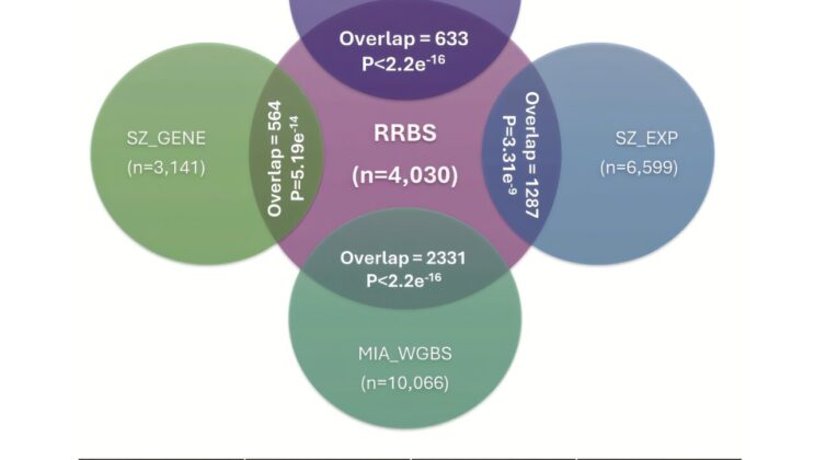 Can a Mother’s Cold During Pregnancy Shape Her Child’s Mind for Life? Scientists Uncover a Stunning Connection