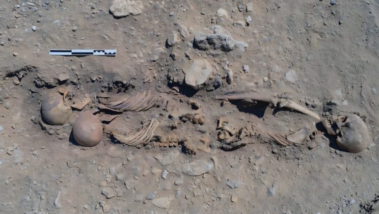 For 3,000 Years We Blamed a Plague—Now Scientists Say Akhenaten’s City Died for a Very Different Reason