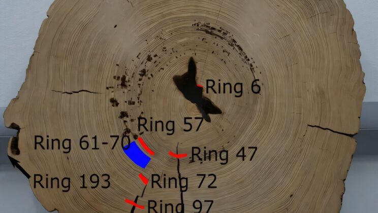 Archaeologists Uncover Massive Ancient “Power Pole” That Once Linked Heaven and Earth in Lost American City