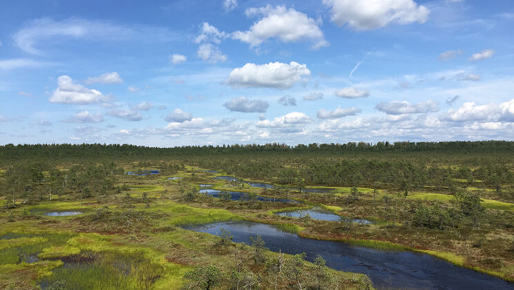 The Planet’s “Hidden Climate Shield” May Flip — And Start Heating the World Instead