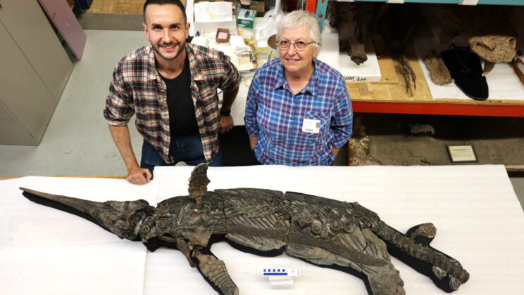 Scientists Discover ‘Sword Dragon of Dorset’ — A 190-Million-Year-Old Sea Predator Frozen in Time