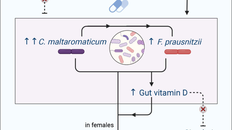 Scientists Discover How Magnesium ‘Talks’ to Your Gut Bacteria—And It Could Stop Cancer Before It Starts