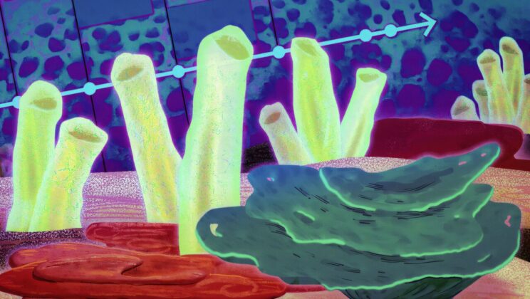 Scientists May Have Found Earth’s First Animal—and It’s Not What You Think