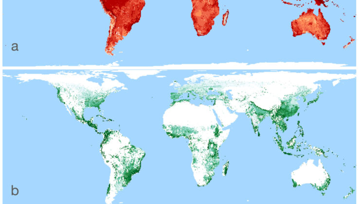 Beef, Bananas, and Biodiversity: The Hidden Extinction Crisis on Your Plate