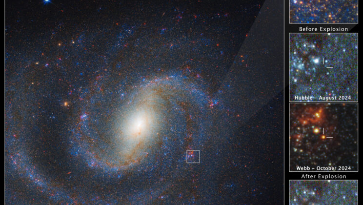 Astronomers Finally Catch a Star in the Act of Dying — and It’s Hiding Behind a Cosmic Veil of Dust