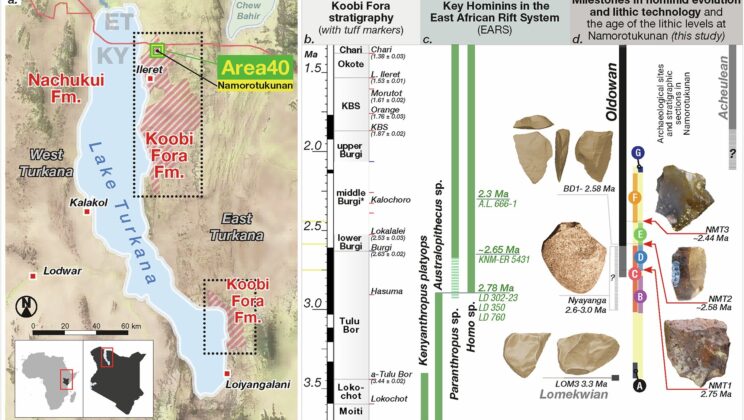 2.75-Million-Year-Old ‘Swiss Army Knife’ Tools Found in Africa Tell a Story of Survival