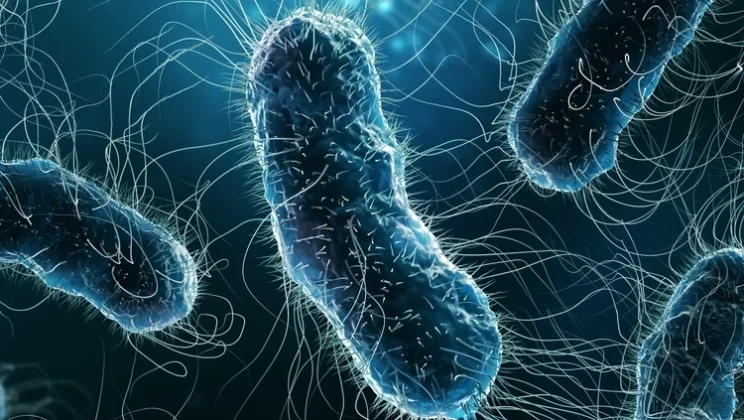 The Hidden World of Microbes Inside the Human Body