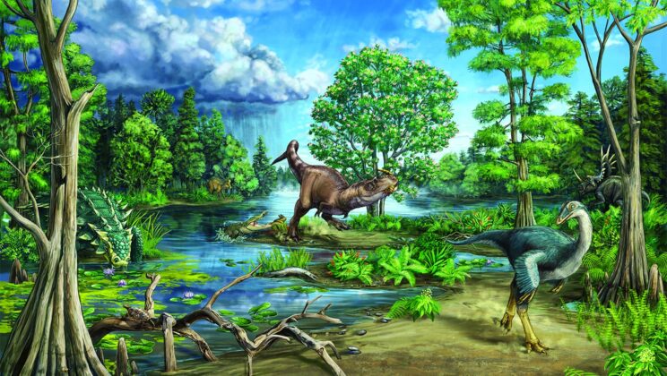 Why So Many Species Are Going Extinct