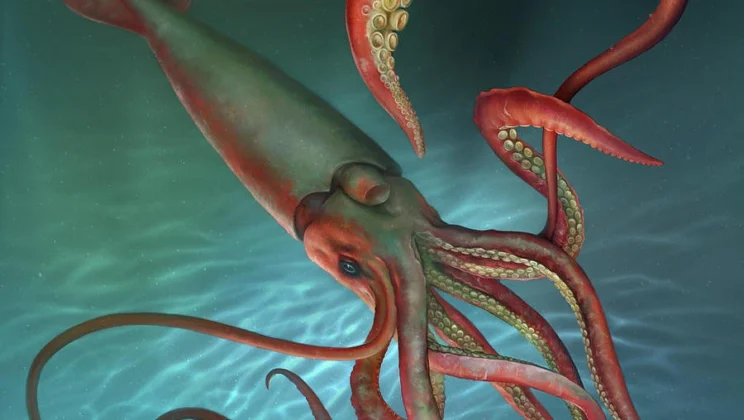 The Mysterious Lives of Giant Squids