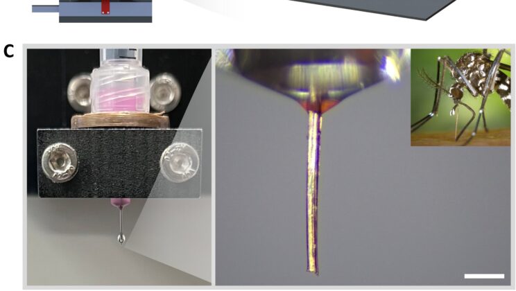 Scientists Use a Mosquito’s Mouthpart to Create the Future of 3D Printing Nozzles