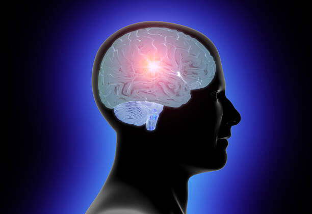 Cognitive Psychology: Understanding the Science of the Mind