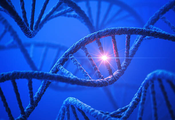 Scientists Discover Evolution Isn’t Slow and Steady—It’s a Chaotic Chase No Species Can Win