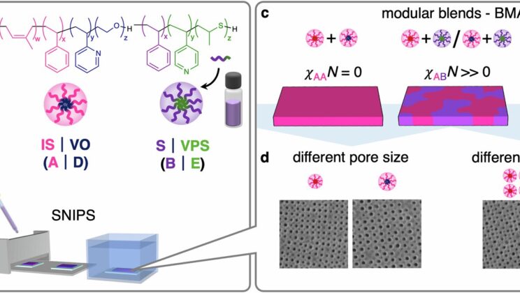 Scientists Create Membranes That Can “Think,” Separating Molecules by Chemistry Instead of Size