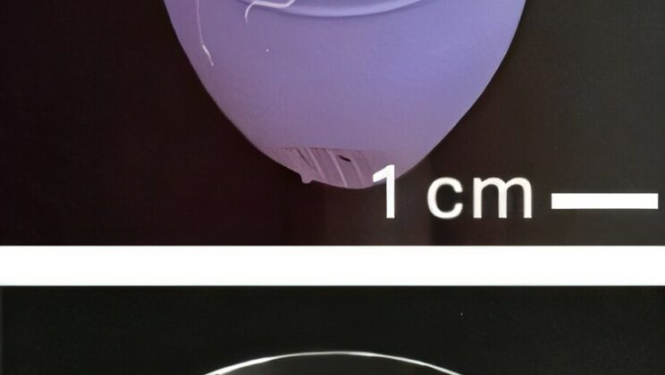 Scientists Create Self-Cleaning Menstrual Cup That Could End Boiling Forever