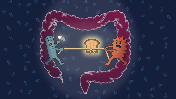 What Happens to Your Gut When You Take Medication? This Groundbreaking Study Explains It All