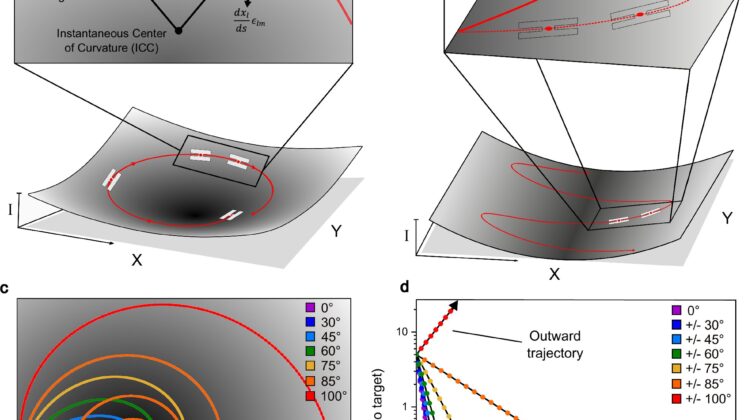 These Microrobots Can Now Perform Complex Tasks—Without Any Brains at All