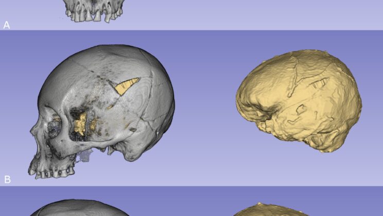 Why Are Modern Chileans Taller and Bigger Than Their Ancient Ancestors? The Surprising Answer Will Shock You