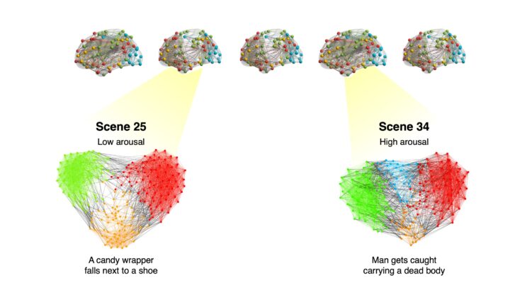 Scientists Discover Why Emotional Memories Never Fade — And It’s All in the Brain’s Hidden “Orchestra”