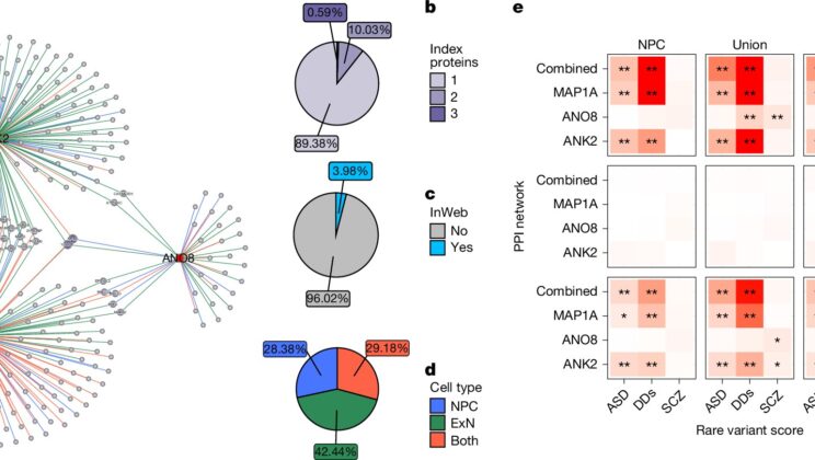 Scientists Uncover Genetic ‘Time Bombs’ Behind ADHD—Risk Could Be 15x Higher