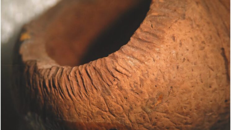 The Real Culprit Behind Easter Island’s Collapse Wasn’t Humans — It Was Rats, Scientists Say