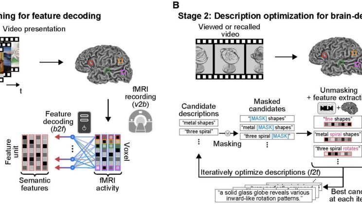 Scientists Can Now Turn Your Thoughts Into Words — Here’s How “Mind-Captioning” Works