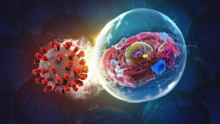 Could One Drug Stop the Next Pandemic? New Research Aims to Protect Against All Viruses