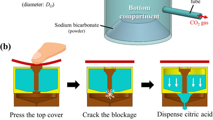 Scientists Create Edible Robots That Eat and Disappear—Powered by Baking Soda!