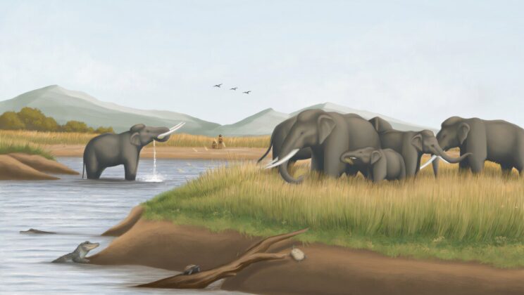 Scientists Uncover Taiwan’s Lost Savannah Beneath the Sea — And It Changes Everything We Knew About the Island