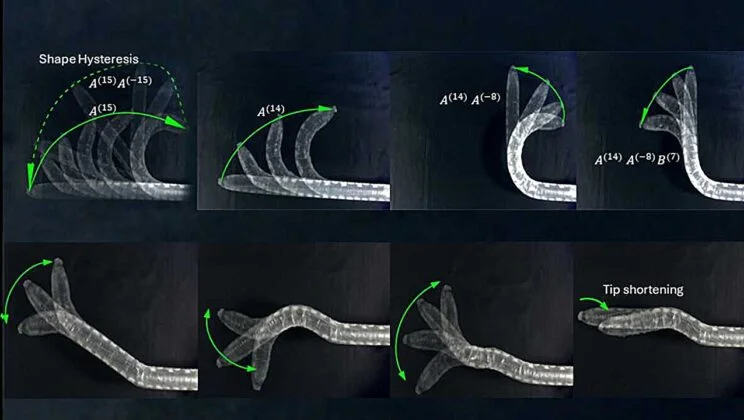 Meet the Robot That Can Remember Its Shape—and Move Like It’s Alive