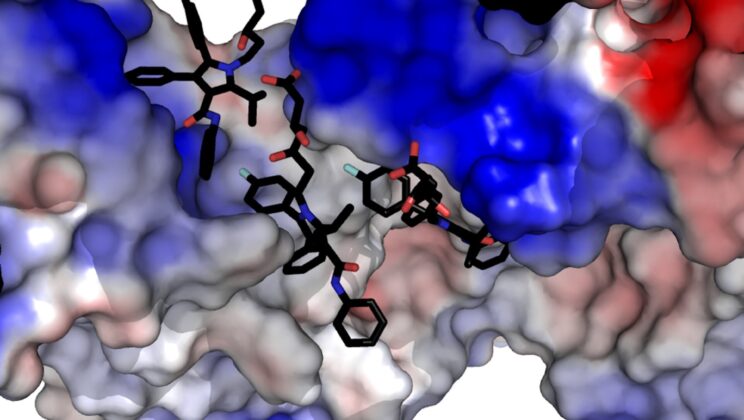 Scientists Uncover the Secret Behind Statin Side Effects—And a Path to Safer Drugs