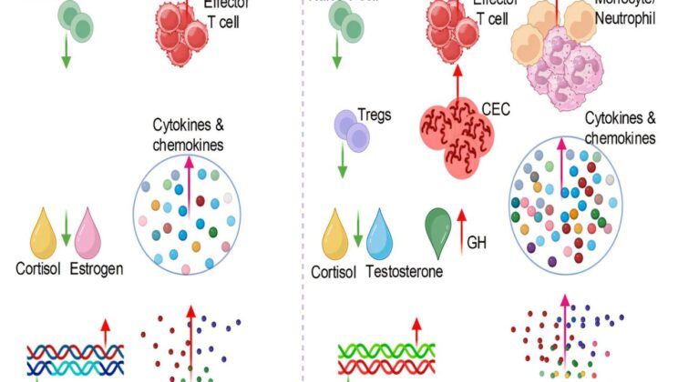 New Study Reveals Why Women Suffer More from Long COVID—And It Starts in the Gut