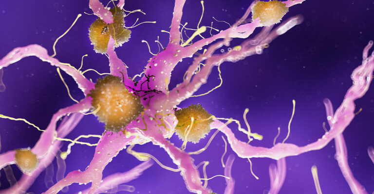 The Science of Loneliness: How Isolation Changes Neural Pathways