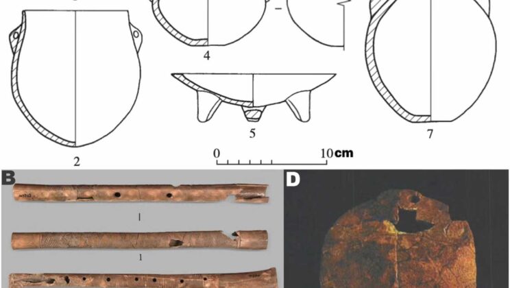 An 8,200-Year-Old Climate Shock Wiped Out Neighbors — But One Ancient Chinese Community Adapted and Survived