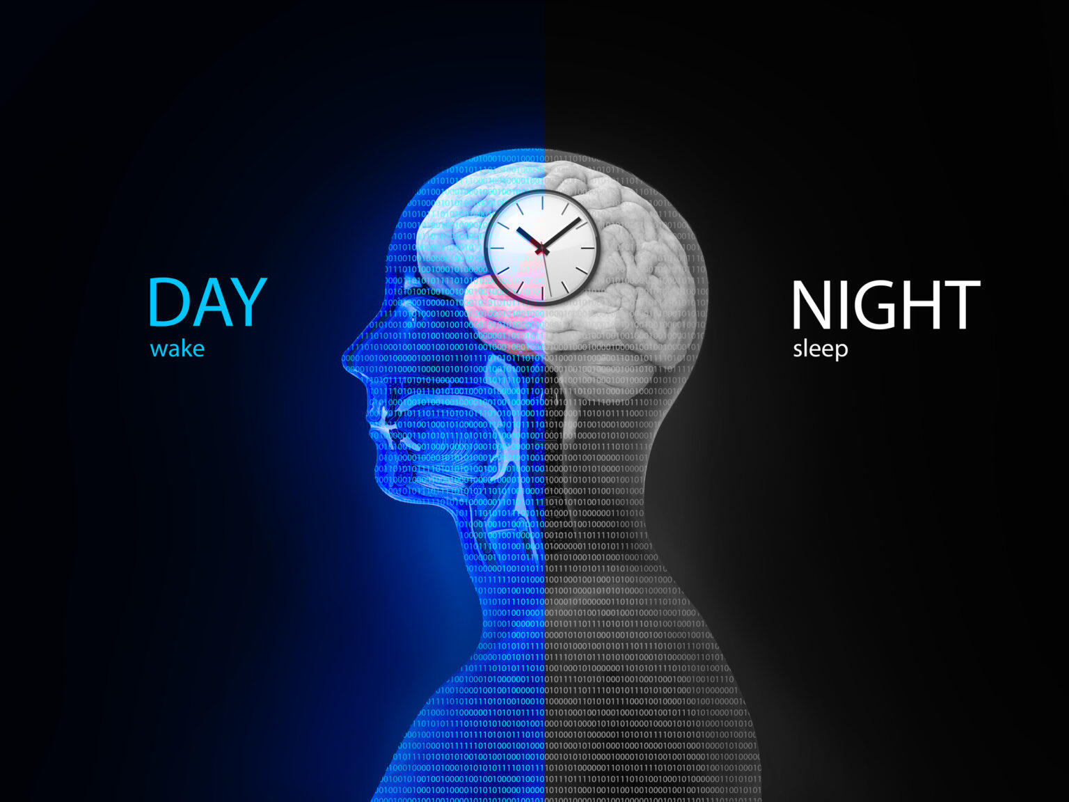The Circadian Rhythm: Why Your Body Clock Is Essential for Mental Health