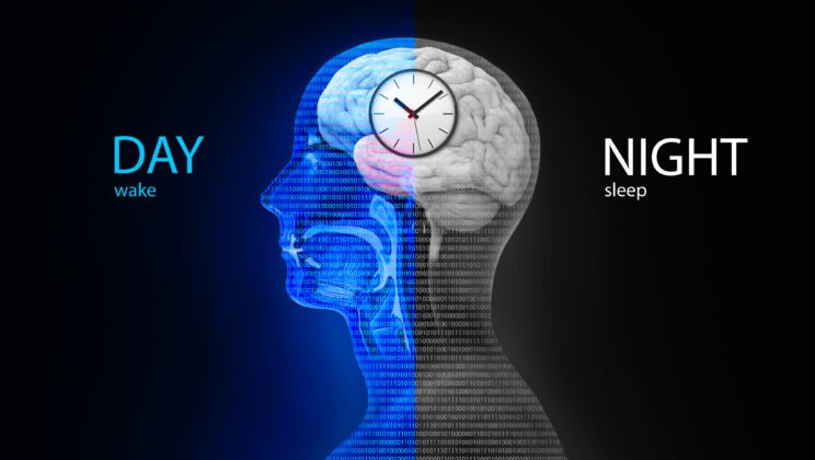 The Circadian Rhythm: Why Your Body Clock Is Essential for Mental Health