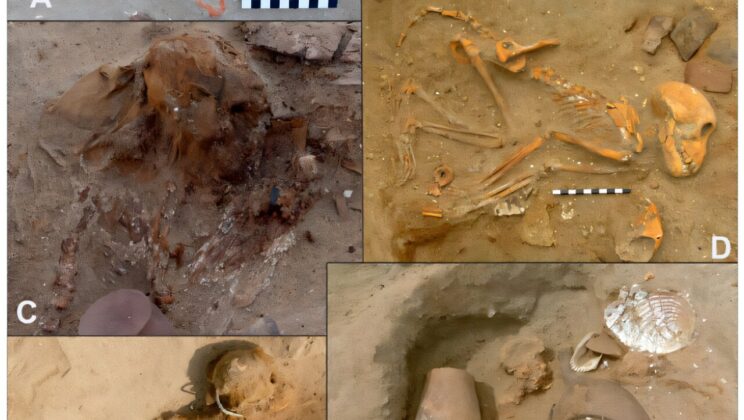 Ancient Roman Elites Buried Their Pet Monkeys With Luxury Goods