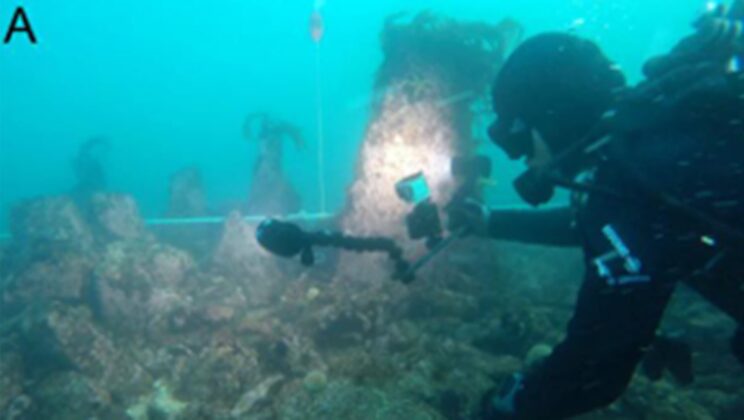 The Sea Kept This Secret for 7,000 Years. Now a Lost Wall Has Been Found