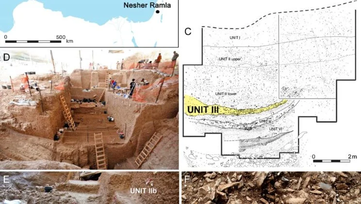 Ancient Humans Didn’t Hunt in Herds — and It May Explain Why Our Species Outlived Them