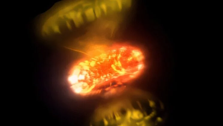 Two Stars Just Erupted — and Their Explosions Were Nothing Like Anyone Expected