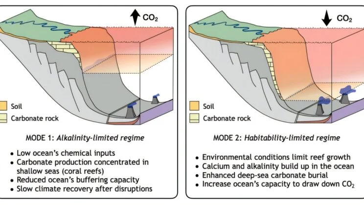 How Coral Reefs Have Been Secretly Controlling Earth’s Climate for 250 Million Years