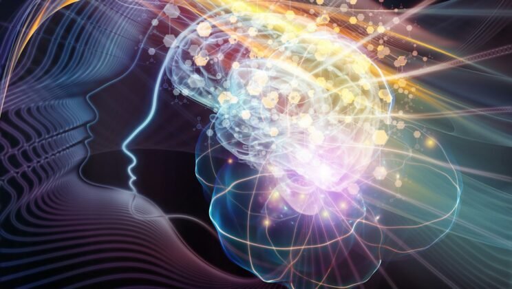 Why Your Brain Craves Patterns: The Science of Habit Formation