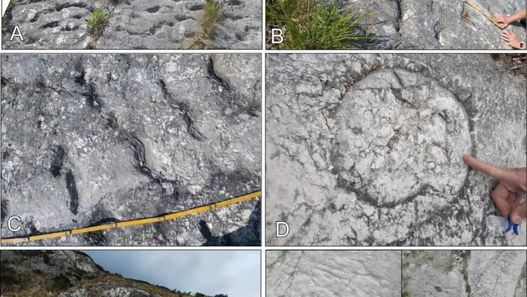 Climbers Stumble Upon 1,000 Ancient Footprints That Capture a Prehistoric Panic Attack