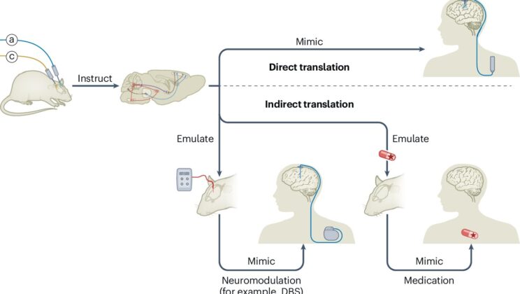 Scientists Are Controlling Brain Cells With Light—And It’s Already Curing Blindness