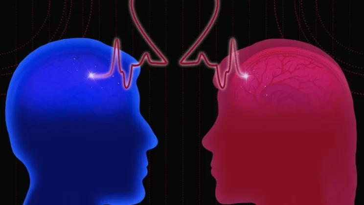 The Science of Love: What Happens to the Brain During a Breakup?