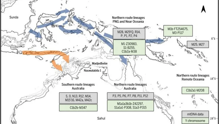 Ancient Humans May Have Crossed 100 Kilometers of Water to Reach Australia 60,000 Years Ago