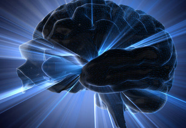 Why the Human Brain Is the Most Complex Object in the Universe