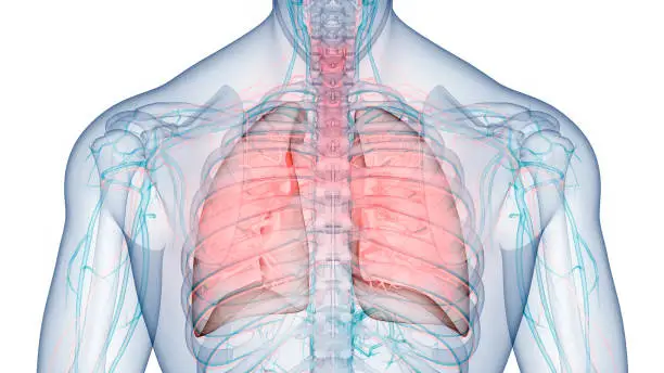 People With Cystic Fibrosis Can Now Cut Daily Treatments and Still Stay Healthy, Study Finds